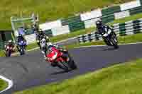 cadwell-no-limits-trackday;cadwell-park;cadwell-park-photographs;cadwell-trackday-photographs;enduro-digital-images;event-digital-images;eventdigitalimages;no-limits-trackdays;peter-wileman-photography;racing-digital-images;trackday-digital-images;trackday-photos